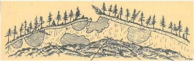 Yedoma Permafrost Genesis: Over 150 Years of Mystery and Controversy